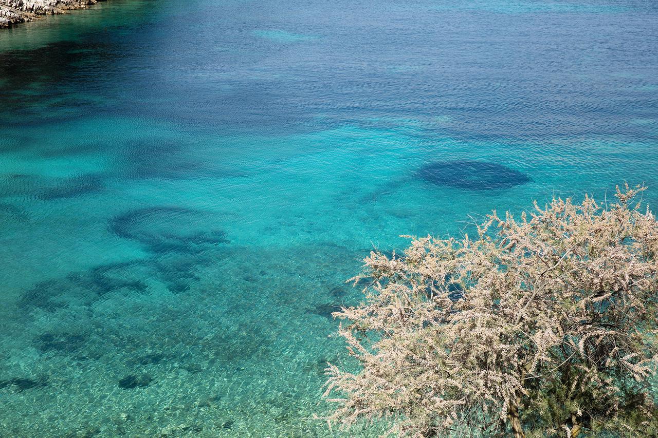 Little Green Bay Hotel Hvar Island Exterior foto